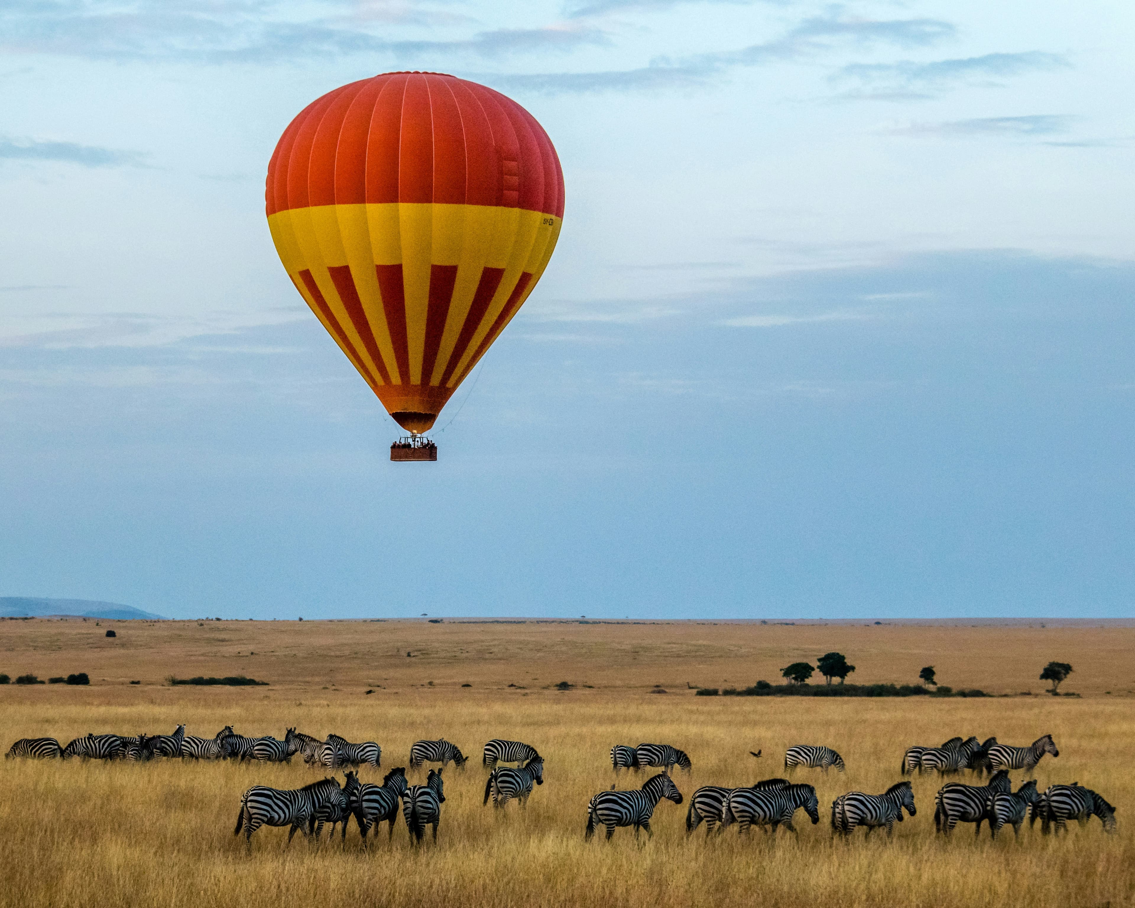 Maasai Mara, Kenya